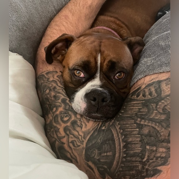 Meet your Posher, Marianne - Picture 3 of 3